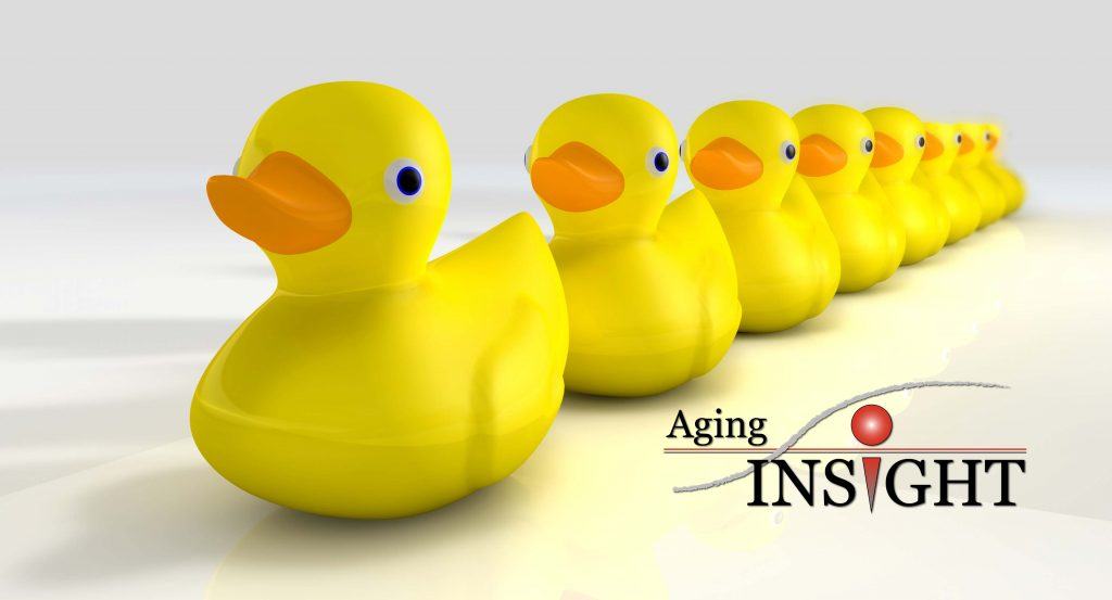 Get All Your Rubber Ducks In A Row